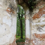 IMG 8512