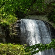 IMG 8735