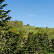 IMG 8778