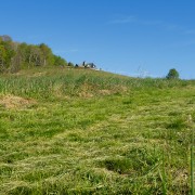 IMG 8783