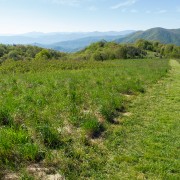 IMG 8785