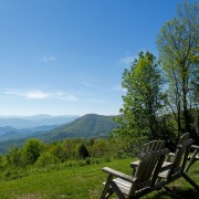 IMG 8817