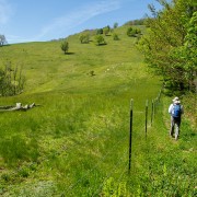 IMG 8840
