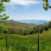 IMG 8843