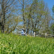 IMG 8852
