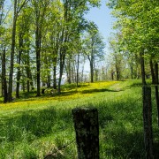 IMG 8873