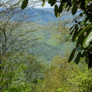 IMG 8882