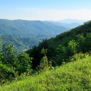 IMG 8975