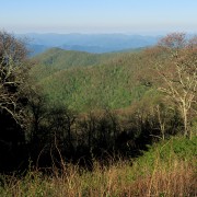 IMG 8979