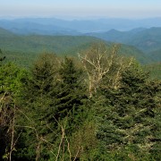 IMG 8993