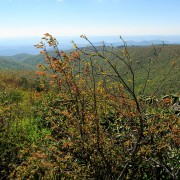 IMG 9028