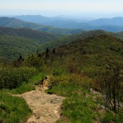 IMG 9056
