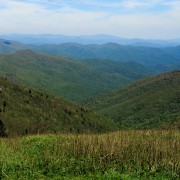 IMG 9062