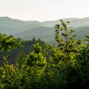 IMG 9176