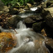 IMG 9254