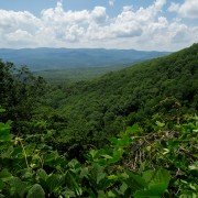 IMG 9271