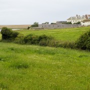 IMG 0023
