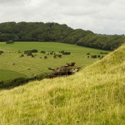 IMG 0351