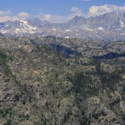 IMG 0623