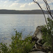 IMG 0645