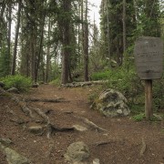 IMG 0667