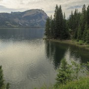 IMG 0675