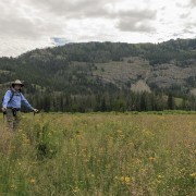 IMG 0683