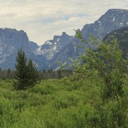 IMG 0710