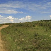 IMG 0732
