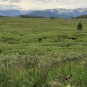 IMG 0743