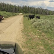 IMG 0747