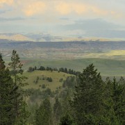 IMG 0771