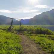 IMG 0791