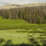 IMG 0794