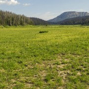 IMG 0795