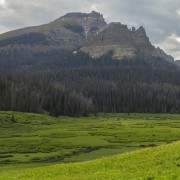 IMG 0805