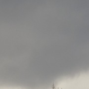 IMG 0812