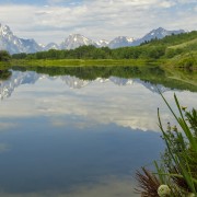IMG 0832