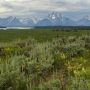 IMG 0840