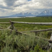 IMG 0842