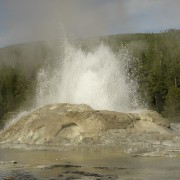 IMG 0881