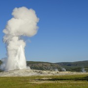 IMG 0949