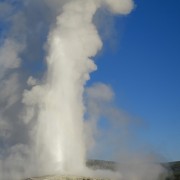 IMG 0954