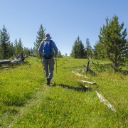 IMG 0991