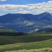IMG 1338