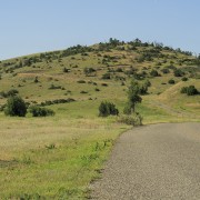 IMG 1508