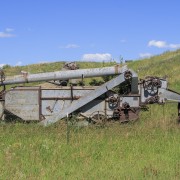 IMG 1614