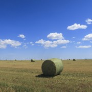 IMG 1752