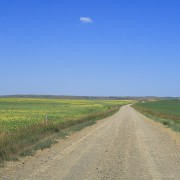 IMG 1756