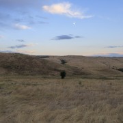 IMG 2622